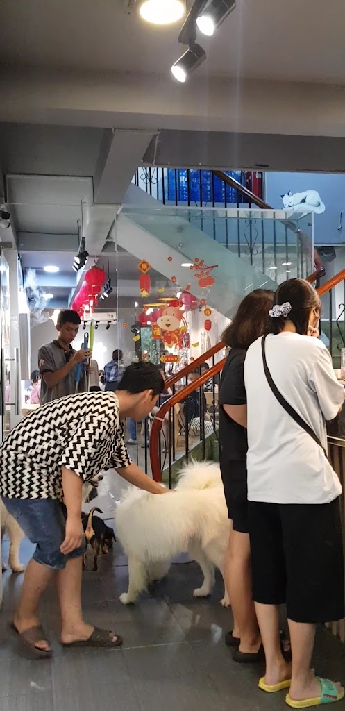 Cà phê anh đào pet — ảnh 3