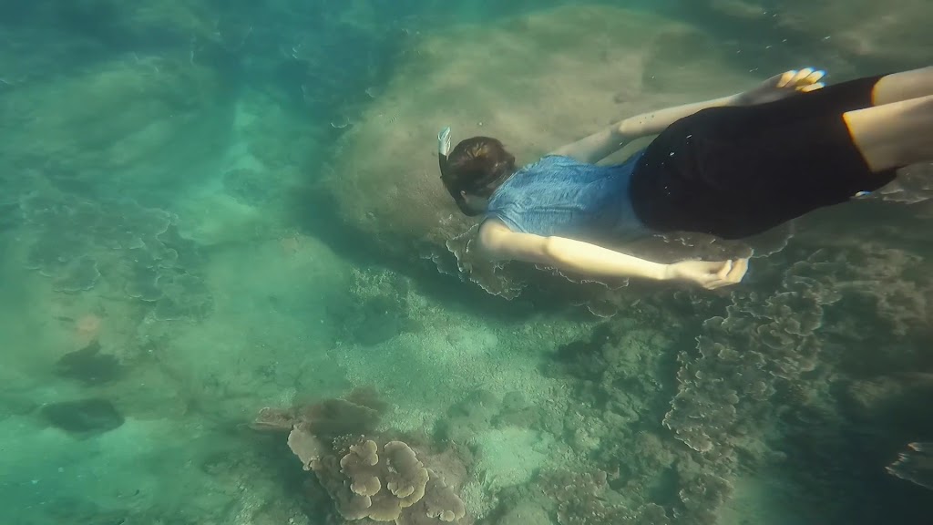 Kimie's Tours - Snorkeling, diving, & hiking — photo 7