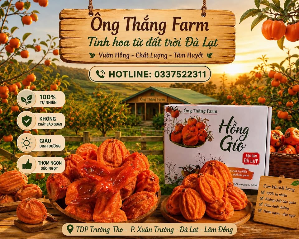 Vườn Hồng Ông Thắng - Hồng Treo Gió, Đặc Sản Đà Lạt