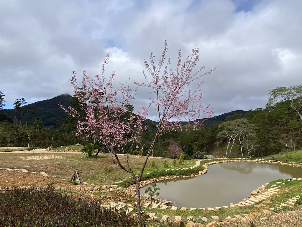 Vi’L Farm - Trang Trại Oganic