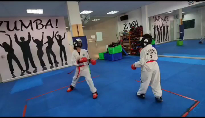 Taekwondo ITF Viet Nam